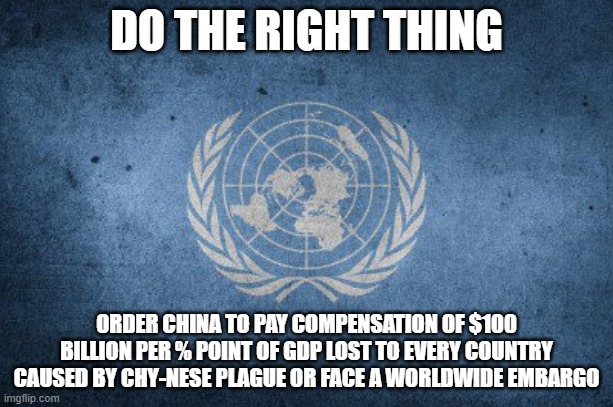 United nations | DO THE RIGHT THING; ORDER CHINA TO PAY COMPENSATION OF $100 BILLION PER % POINT OF GDP LOST TO EVERY COUNTRY CAUSED BY CHY-NESE PLAGUE OR FACE A WORLDWIDE EMBARGO | image tagged in united nations | made w/ Imgflip meme maker