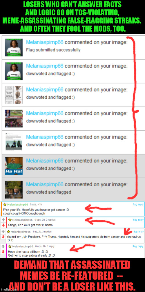 They still get away with sh*t like this, gullible mods don't usually bother re-featuring legitimate stuff. | LOSERS WHO CAN'T ANSWER FACTS AND LOGIC GO ON TOS-VIOLATING, MEME-ASSASSINATING FALSE-FLAGGING STREAKS. 
 AND OFTEN THEY FOOL THE MODS, TOO. DEMAND THAT ASSASSINATED MEMES BE RE-FEATURED  --  AND DON'T BE A LOSER LIKE THIS. | image tagged in terms of service,meme assassination,bogus meme flagging,abuse | made w/ Imgflip meme maker