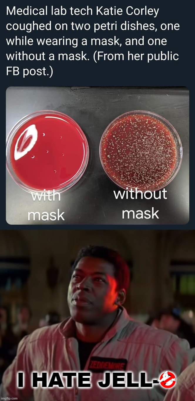 image tagged in covid-19,masks,jello,ghostbusters | made w/ Imgflip meme maker