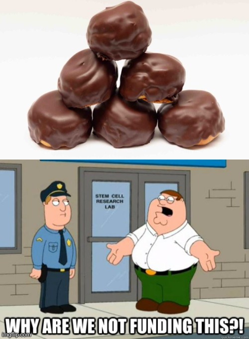 This Treat Should Be Around The World | image tagged in why are we not funding it,bossche bol | made w/ Imgflip meme maker