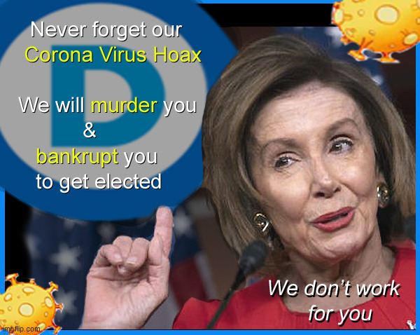DEMOCRATS Rule- they don't SERVE you | image tagged in democrats,nancy pelosi,royals,cunts,political meme,politics | made w/ Imgflip meme maker