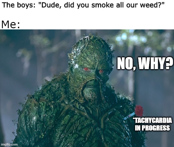 Greed | The boys: "Dude, did you smoke all our weed?"; Me:; NO, WHY? *TACHYCARDIA IN PROGRESS | image tagged in swamp thing | made w/ Imgflip meme maker