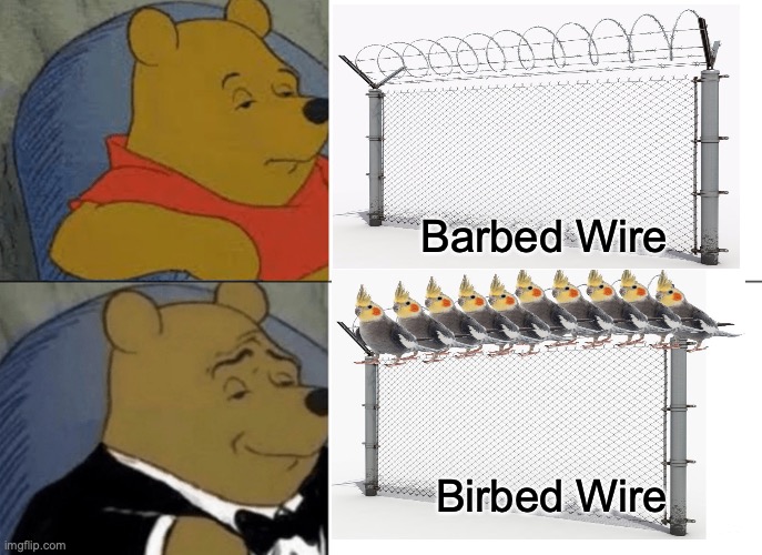 Tuxedo Winnie The Pooh Meme | Barbed Wire; Birbed Wire | image tagged in memes,tuxedo winnie the pooh | made w/ Imgflip meme maker