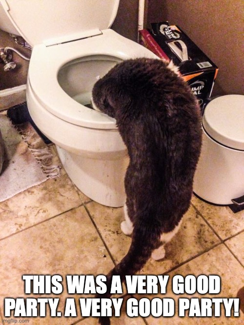 THIS WAS A VERY GOOD PARTY. A VERY GOOD PARTY! | image tagged in cats | made w/ Imgflip meme maker