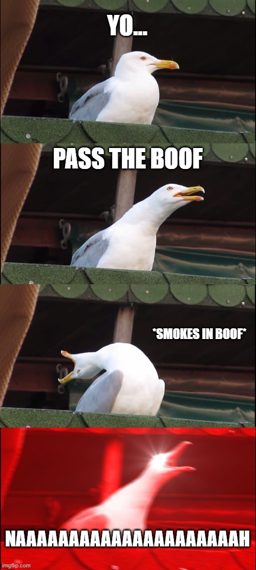 pass the boof | YO... PASS THE BOOF; *SMOKES IN BOOF*; NAAAAAAAAAAAAAAAAAAAAAH | image tagged in memes,inhaling seagull | made w/ Imgflip meme maker