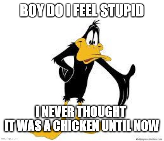 Daffy Duck Welcome | BOY DO I FEEL STUPID I NEVER THOUGHT 
IT WAS A CHICKEN UNTIL NOW | image tagged in daffy duck welcome | made w/ Imgflip meme maker