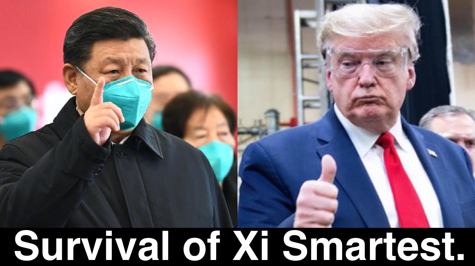 survival of xi smartest Blank Meme Template