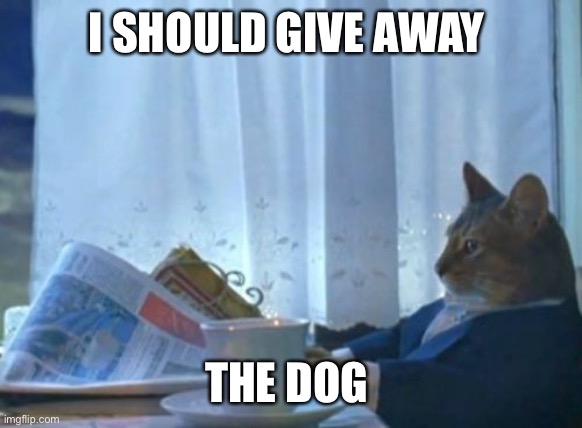 I Should Buy A Boat Cat Meme | I SHOULD GIVE AWAY; THE DOG | image tagged in memes,i should buy a boat cat | made w/ Imgflip meme maker