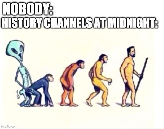 Alien with Apes | NOBODY:; HISTORY CHANNELS AT MIDNIGHT: | image tagged in alien,ape,memes,funny,baby jesus for moderator | made w/ Imgflip meme maker