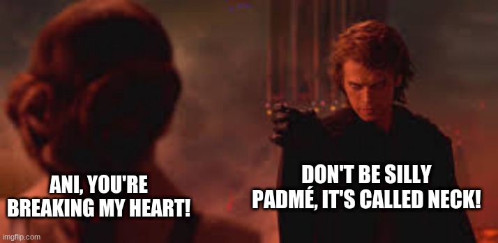 Anakin Choking Padmé meme | DON'T BE SILLY PADMÉ, IT'S CALLED NECK! ANI, YOU'RE BREAKING MY HEART! | image tagged in anakin choking padm | made w/ Imgflip meme maker