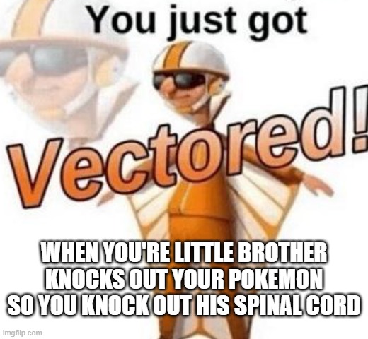 You just got vectored | WHEN YOU'RE LITTLE BROTHER KNOCKS OUT YOUR POKEMON SO YOU KNOCK OUT HIS SPINAL CORD | image tagged in you just got vectored | made w/ Imgflip meme maker