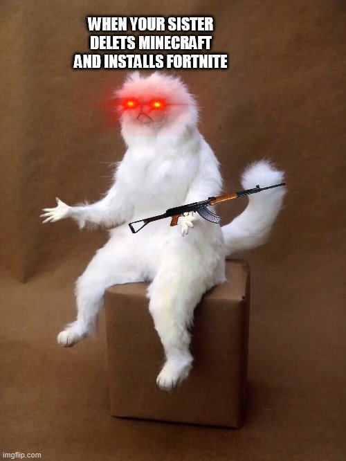 but why cat | WHEN YOUR SISTER DELETS MINECRAFT AND INSTALLS FORTNITE | image tagged in but why cat | made w/ Imgflip meme maker