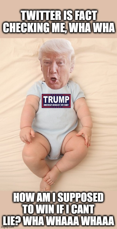 Liar and crybaby. #notfit | TWITTER IS FACT CHECKING ME, WHA WHA; HOW AM I SUPPOSED TO WIN IF I CANT LIE? WHA WHAAA WHAAA | image tagged in memes,donald trump is an idiot,maga,crybaby,liar,government corruption | made w/ Imgflip meme maker
