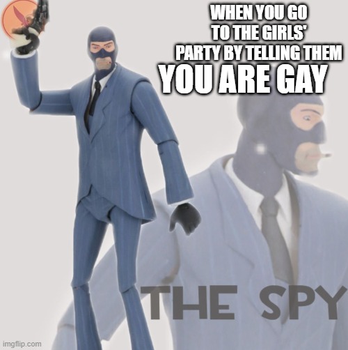 2000 IQ play | WHEN YOU GO TO THE GIRLS' PARTY BY TELLING THEM; YOU ARE GAY | image tagged in meet the spy | made w/ Imgflip meme maker