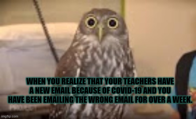 oof | WHEN YOU REALIZE THAT YOUR TEACHERS HAVE A NEW EMAIL BECAUSE OF COVID-19 AND YOU HAVE BEEN EMAILING THE WRONG EMAIL FOR OVER A WEEK. | image tagged in roblox oof | made w/ Imgflip meme maker