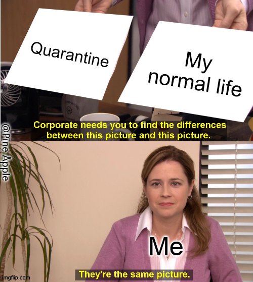 They're The Same Picture Meme | Quarantine; My normal life; @Pïne Åpple; Me | image tagged in memes,they're the same picture | made w/ Imgflip meme maker