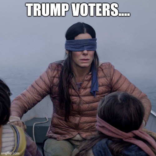 Bird Box Meme | TRUMP VOTERS.... | image tagged in memes,bird box | made w/ Imgflip meme maker