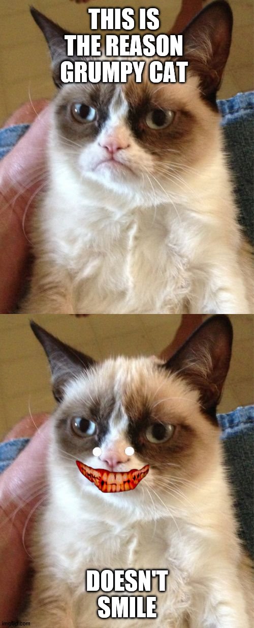 THIS IS THE REASON GRUMPY CAT; DOESN'T SMILE | image tagged in memes,grumpy cat | made w/ Imgflip meme maker
