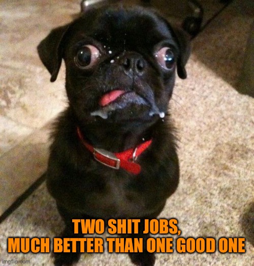TWO SHIT JOBS,
MUCH BETTER THAN ONE GOOD ONE | made w/ Imgflip meme maker
