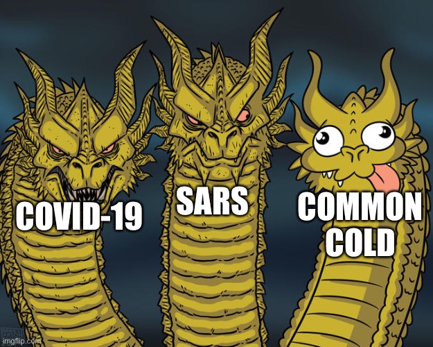 Coronavirus Family | SARS; COMMON COLD; COVID-19 | image tagged in three-headed dragon,covid-19,coronavirus,corona virus,virus | made w/ Imgflip meme maker