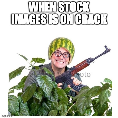 wtf stock image | WHEN STOCK IMAGES IS ON CRACK | image tagged in blank white template | made w/ Imgflip meme maker
