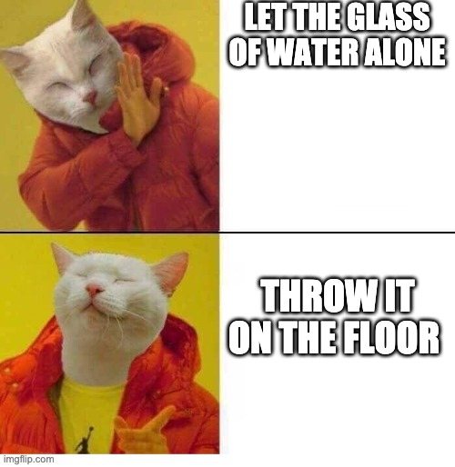 cat drake | LET THE GLASS OF WATER ALONE; THROW IT ON THE FLOOR | image tagged in cat drake | made w/ Imgflip meme maker