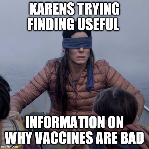 Bird Box Meme | KARENS TRYING FINDING USEFUL; INFORMATION ON WHY VACCINES ARE BAD | image tagged in memes,bird box | made w/ Imgflip meme maker