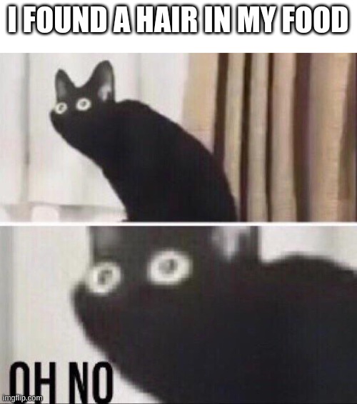 Why must there always be hair in food (please don't answer that) | I FOUND A HAIR IN MY FOOD | image tagged in oh no cat | made w/ Imgflip meme maker