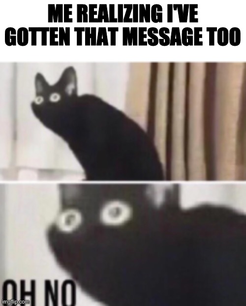 Oh no cat | ME REALIZING I'VE GOTTEN THAT MESSAGE TOO | image tagged in oh no cat | made w/ Imgflip meme maker