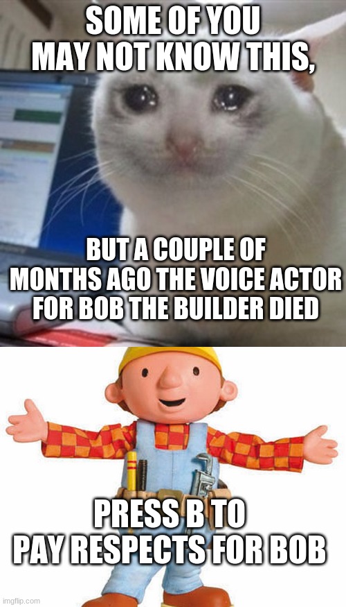 2020 has taken this too far | SOME OF YOU MAY NOT KNOW THIS, BUT A COUPLE OF MONTHS AGO THE VOICE ACTOR FOR BOB THE BUILDER DIED; PRESS B TO PAY RESPECTS FOR BOB | image tagged in crying cat,bob the builder,sad,press f to pay respects | made w/ Imgflip meme maker