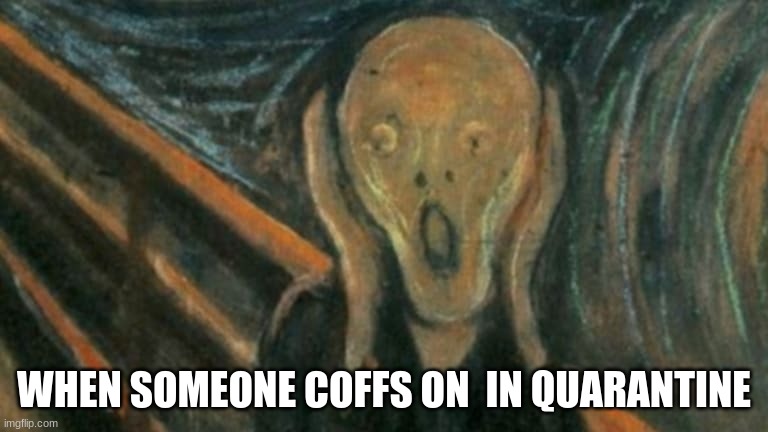 quariantine | WHEN SOMEONE COFFS ON  IN QUARANTINE | image tagged in funny memes | made w/ Imgflip meme maker