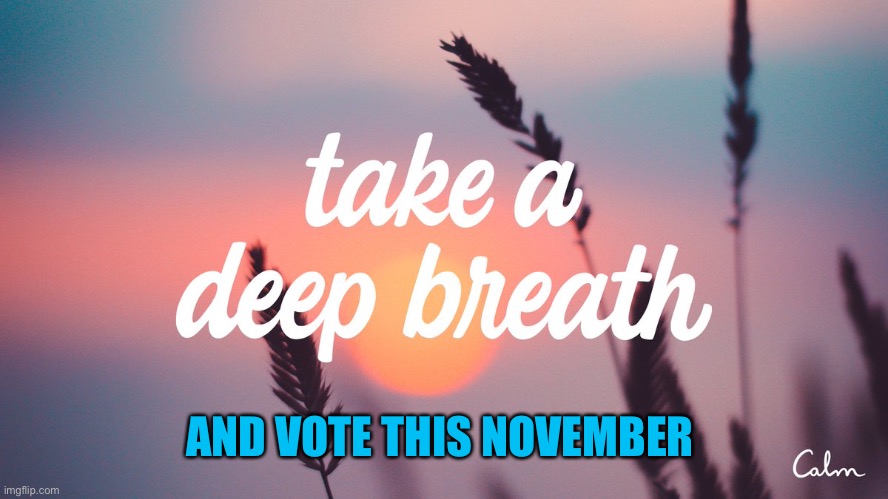 AND VOTE THIS NOVEMBER | made w/ Imgflip meme maker