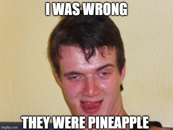 10 guy stoned | I WAS WRONG THEY WERE PINEAPPLE | image tagged in 10 guy stoned | made w/ Imgflip meme maker