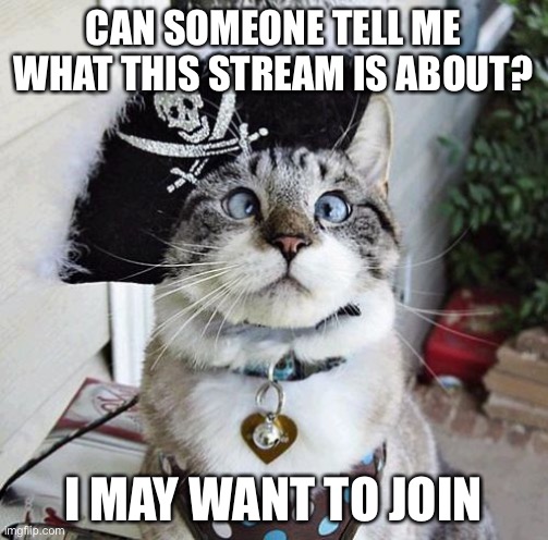 I am confused... | CAN SOMEONE TELL ME WHAT THIS STREAM IS ABOUT? I MAY WANT TO JOIN | image tagged in memes,spangles | made w/ Imgflip meme maker