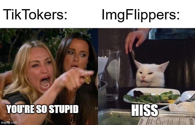 TikTokers VS ImgFlippers | TikTokers:; ImgFlippers:; YOU'RE SO STUPID; HISS | image tagged in memes,woman yelling at cat | made w/ Imgflip meme maker