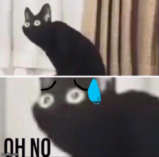 Oh no cat | image tagged in oh no cat | made w/ Imgflip meme maker
