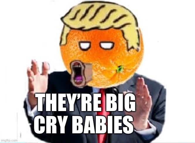 Orange Man | THEY’RE BIG
CRY BABIES | image tagged in orange man | made w/ Imgflip meme maker