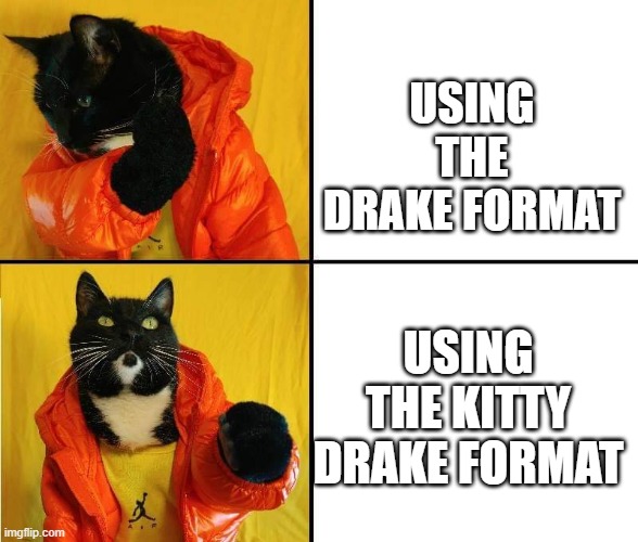 Kitty Drake | USING THE DRAKE FORMAT; USING THE KITTY DRAKE FORMAT | image tagged in kitty drake,cats,drake | made w/ Imgflip meme maker