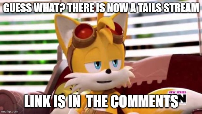 Scumbag Tails | GUESS WHAT? THERE IS NOW A TAILS STREAM; LINK IS IN  THE COMMENTS | image tagged in scumbag tails | made w/ Imgflip meme maker