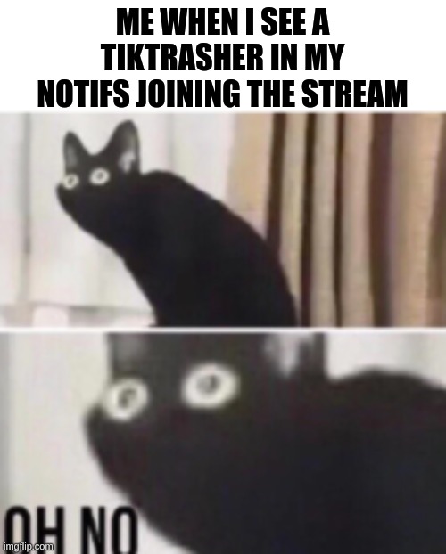Oh no cat | ME WHEN I SEE A TIKTRASHER IN MY NOTIFS JOINING THE STREAM | image tagged in oh no cat | made w/ Imgflip meme maker