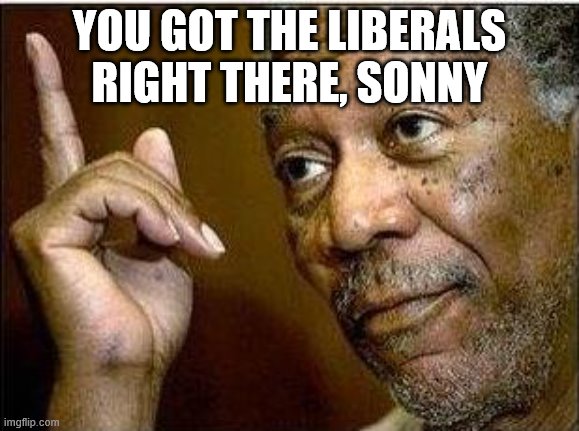 morgan freeman | YOU GOT THE LIBERALS RIGHT THERE, SONNY | image tagged in morgan freeman | made w/ Imgflip meme maker