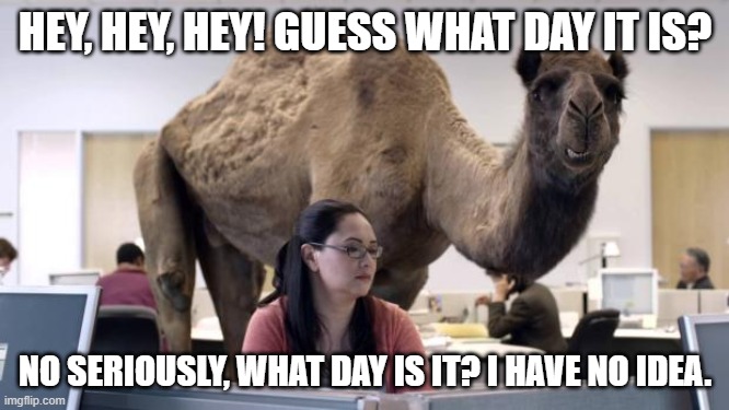quarantine camel | HEY, HEY, HEY! GUESS WHAT DAY IT IS? NO SERIOUSLY, WHAT DAY IS IT? I HAVE NO IDEA. | image tagged in hump day camel | made w/ Imgflip meme maker