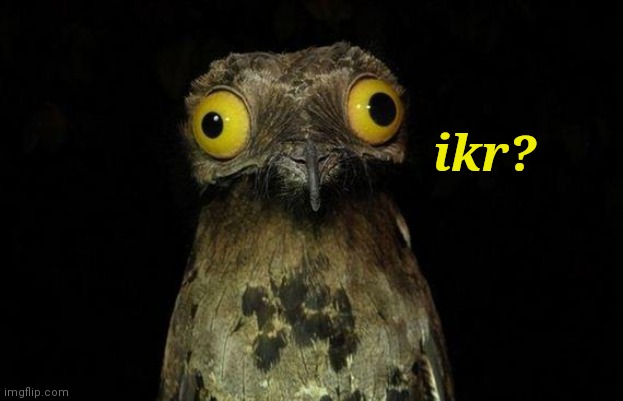 Weird Stuff I Do Potoo Meme | ikr? | image tagged in memes,weird stuff i do potoo | made w/ Imgflip meme maker