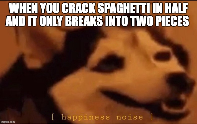its hard, man | WHEN YOU CRACK SPAGHETTI IN HALF AND IT ONLY BREAKS INTO TWO PIECES | image tagged in happines noise | made w/ Imgflip meme maker