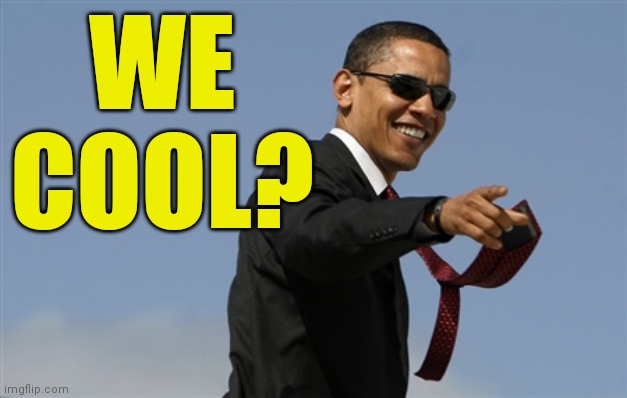 Cool Obama Meme | WE COOL? | image tagged in memes,cool obama | made w/ Imgflip meme maker