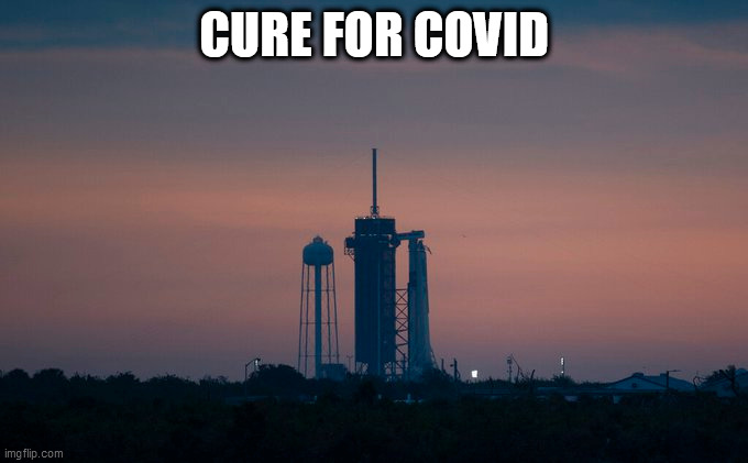 SpaceX | CURE FOR COVID | image tagged in spacex,covid-19,coronavirus,public health,space race,first world problems | made w/ Imgflip meme maker