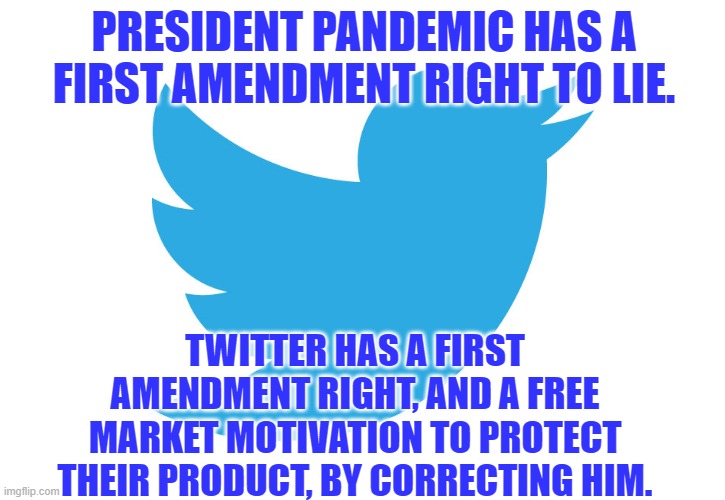 President Pandemic's Prevarication Privilege | PRESIDENT PANDEMIC HAS A FIRST AMENDMENT RIGHT TO LIE. TWITTER HAS A FIRST AMENDMENT RIGHT, AND A FREE MARKET MOTIVATION TO PROTECT THEIR PRODUCT, BY CORRECTING HIM. | image tagged in twitter | made w/ Imgflip meme maker