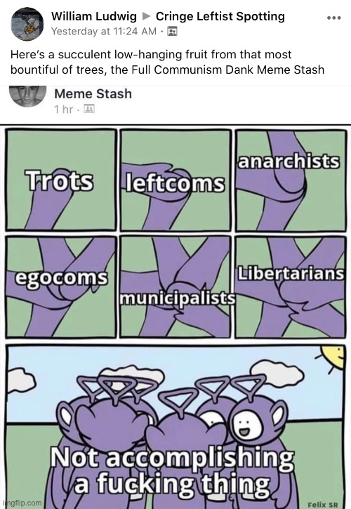 Whether together or separately, these groups never accomplish anything. Except maybe municipalists. | image tagged in leftists,leftist,government,cringe,cringe worthy,anarchist | made w/ Imgflip meme maker