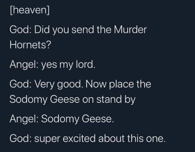 God: Did you send the Murder Hornets? | image tagged in murder hornets,sodomy geese,sodomy,homosexuality,sodom and gomorrah,lgbtq | made w/ Imgflip meme maker