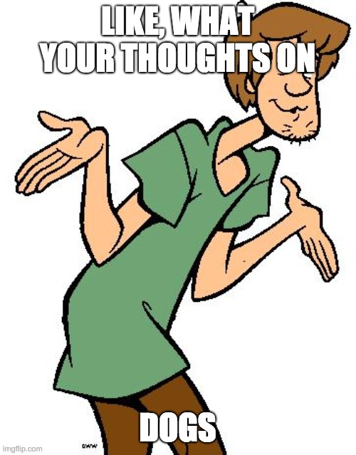 Shaggy from Scooby Doo | LIKE, WHAT YOUR THOUGHTS ON DOGS | image tagged in shaggy from scooby doo | made w/ Imgflip meme maker